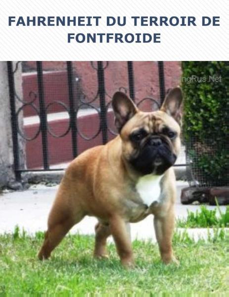 FARENHEIT DU TERROIR DE FONTFROIDE
