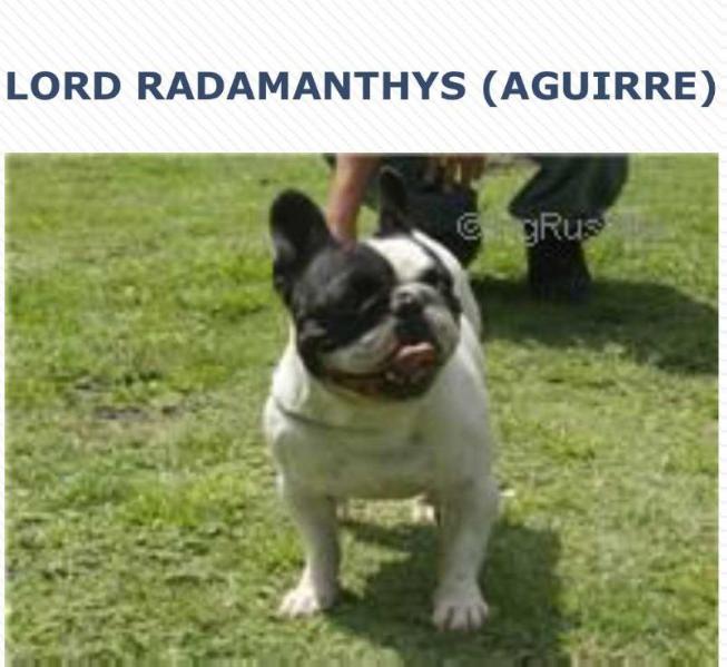 LORD RADAMANTYS (AGUIRRE)