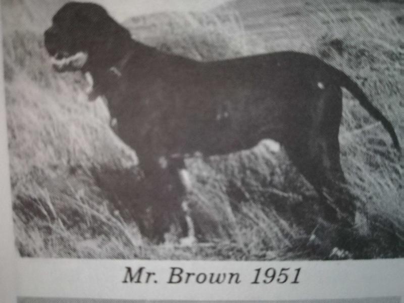 MR BROWN (OF GLENARA)