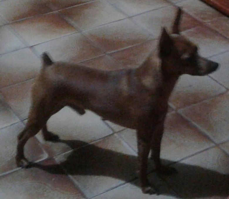 Baltazar PM do Mundurucânia
