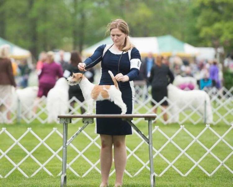Foxfield Puzzle Me This