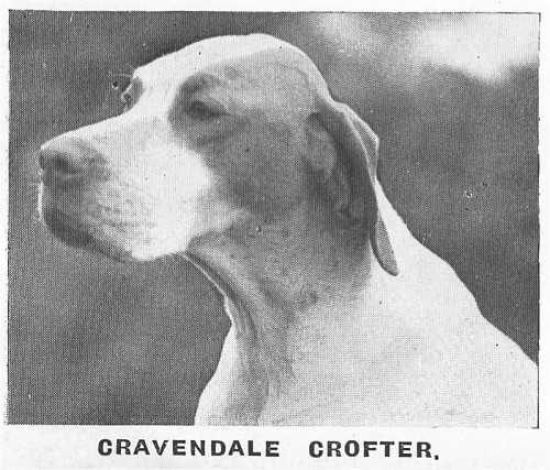 CRAVENDALE CROFTER
