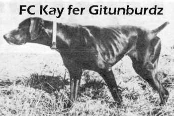 KAY FER GITUNBURDZ