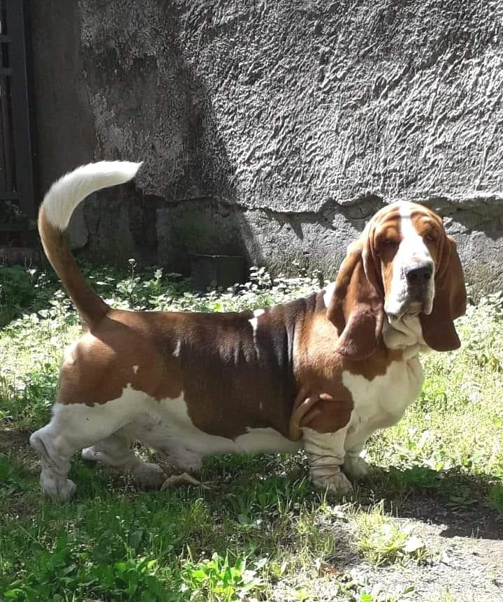 TERRA D'ORFILI LEO