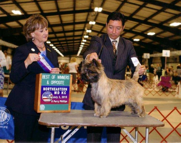 CALEDONIAN FERGUSON OF WOLFPIT