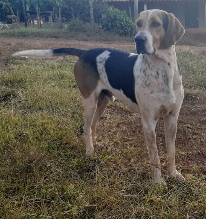 Doby das Águas de Itacaré