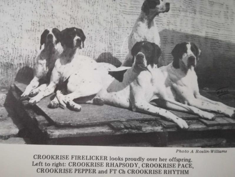 CROOKRISE RHAPSODY
