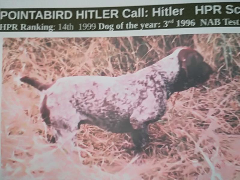 POINTABIRD HITLER