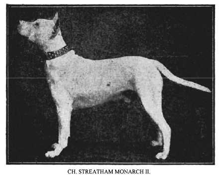Streatham Monarch II