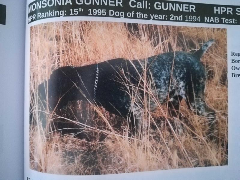 MONSONIA GUNNER