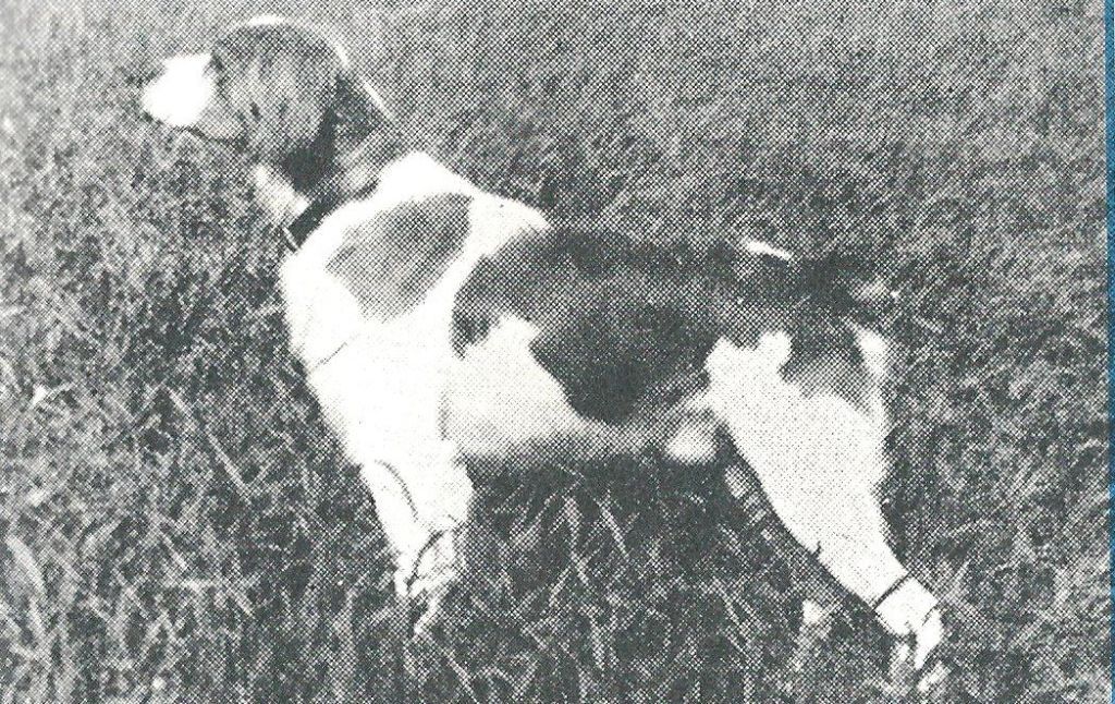 SOICK de l'argoat