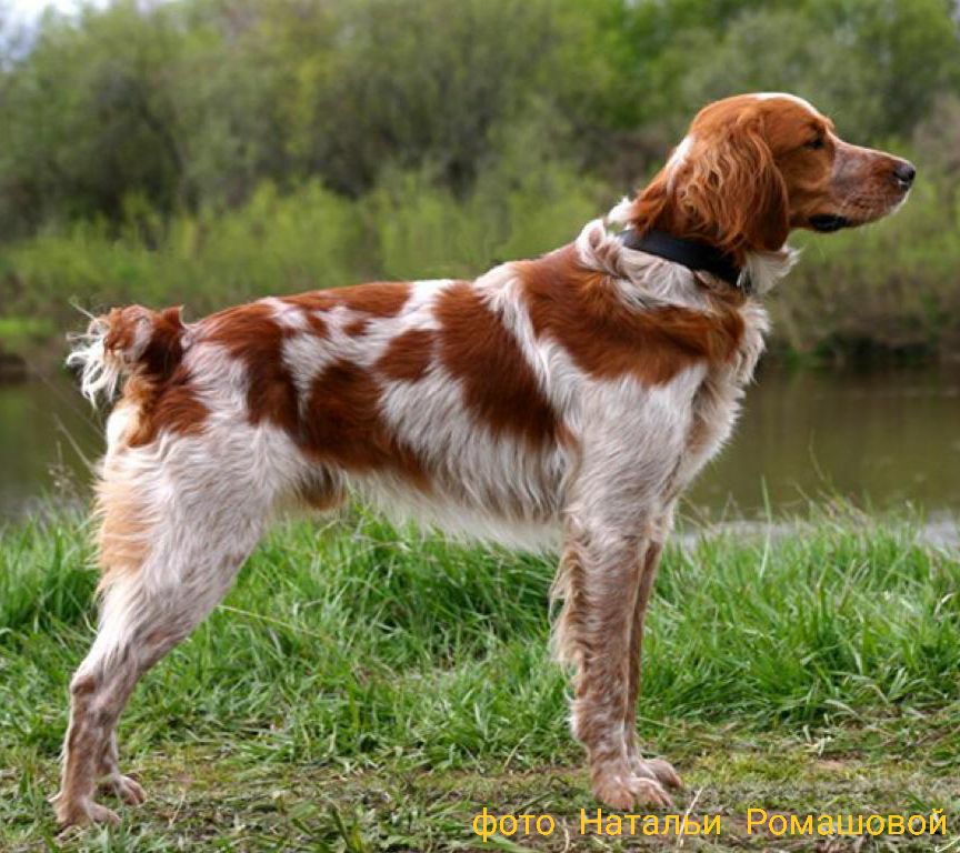 BANDI Epaton