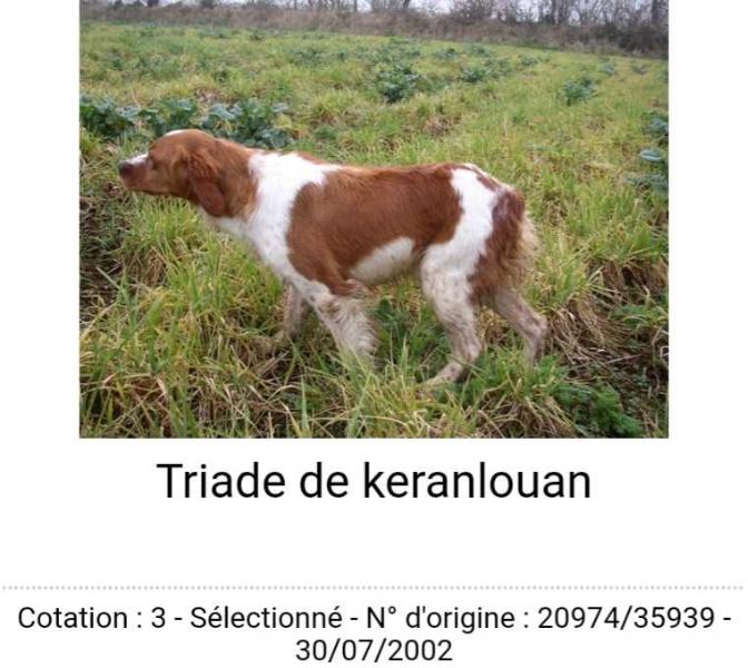 TRIADE de Keranlouan