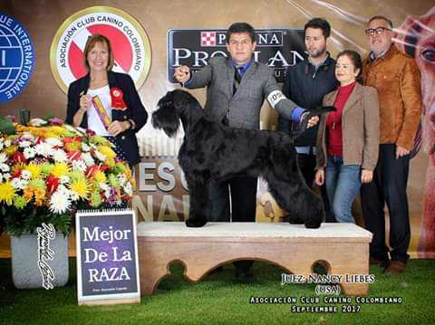Belrod Canarias Friga