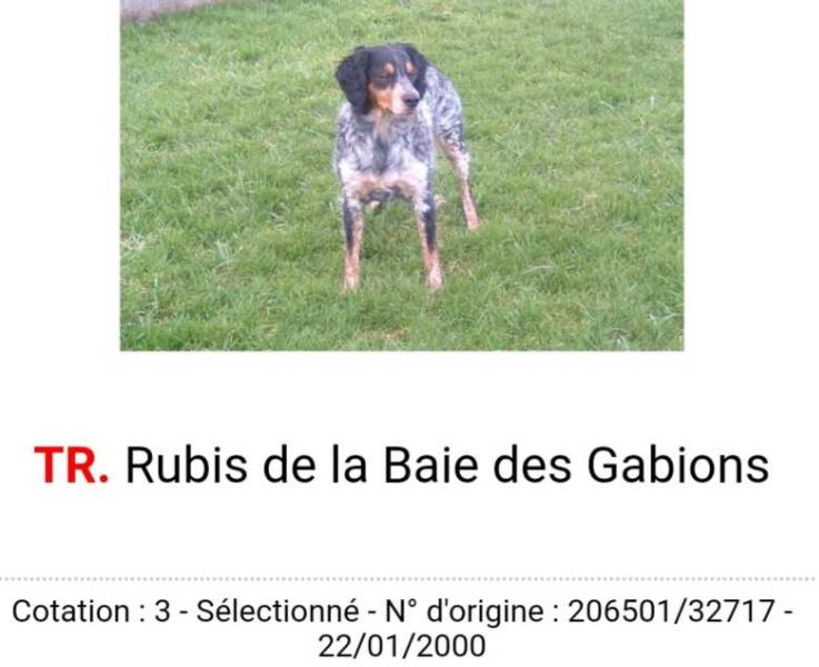RUBIS de la Baie des Gabions