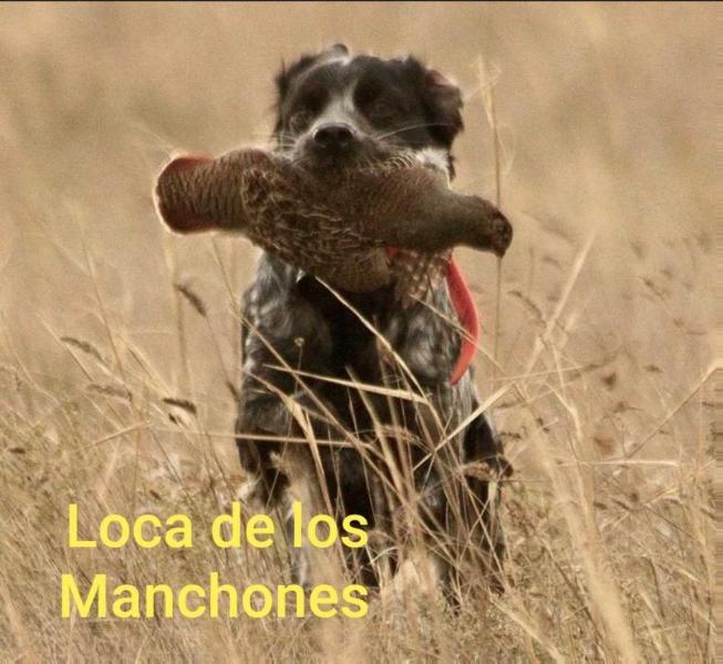 LOCA de los Manchones