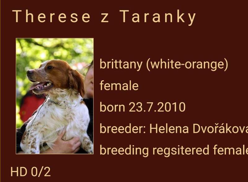 THERESE z Taranky