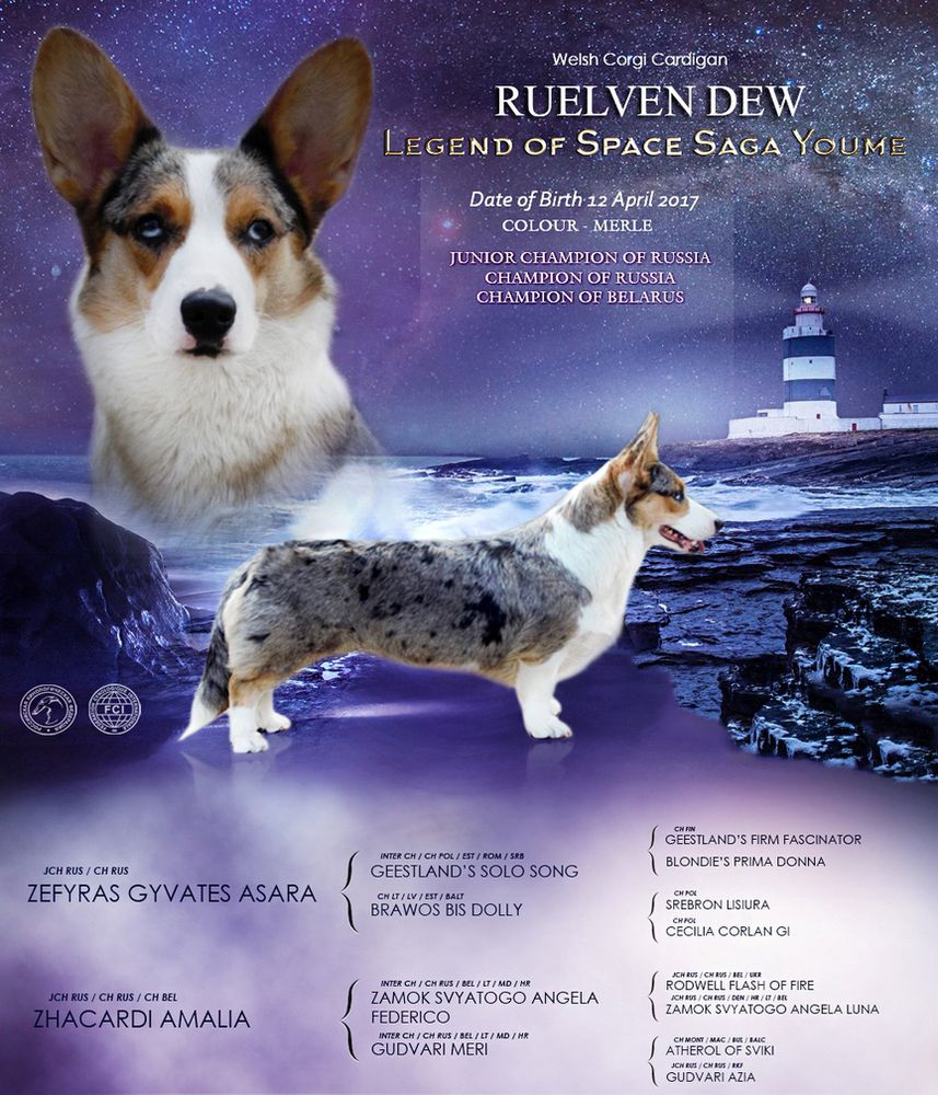 Ruelven Dew Legend of Space Saga Youme