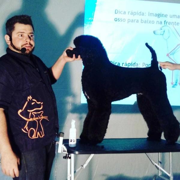 Enrico Of Show Dog's