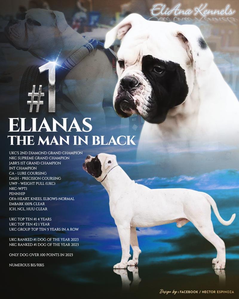 EliAna's The Man In Black