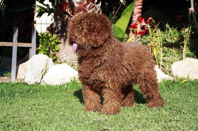 Wanda del Rabadan