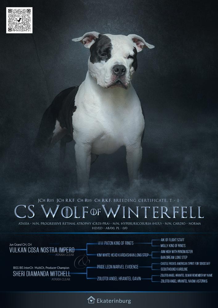 C.S. Wolf of Winterfell