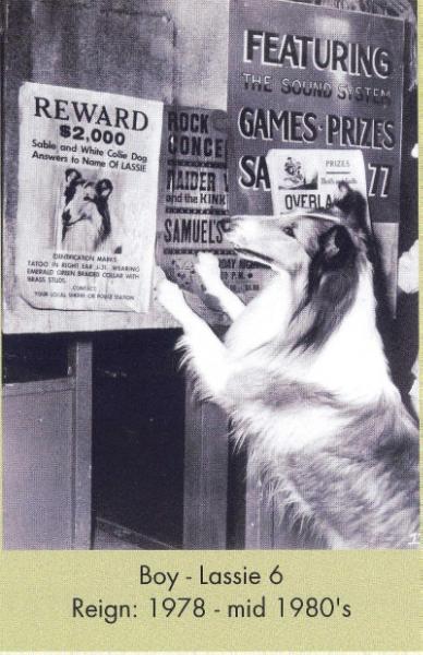 Lassie VI (Boy)