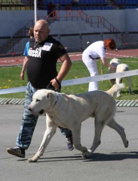 Olbi Neron Iz Hrama Dushi