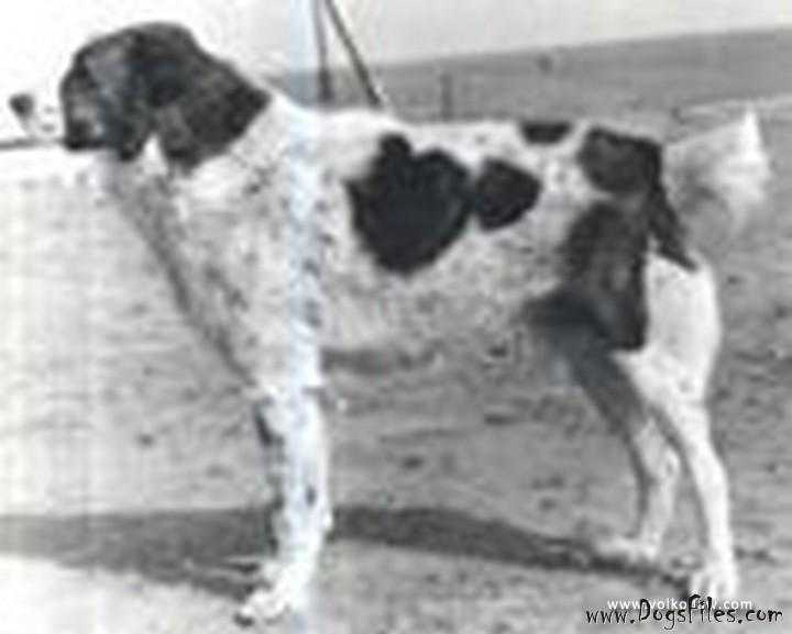 Alabas1