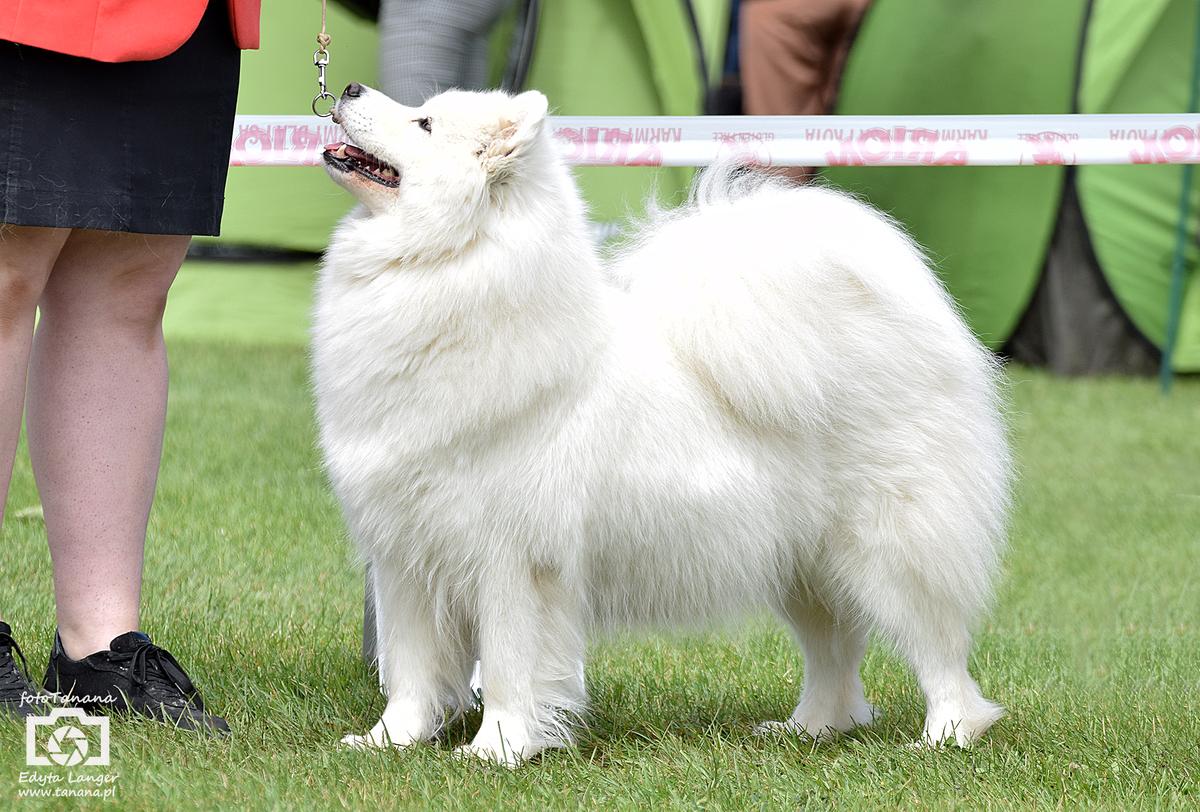 Siberian Love GO FOR HAPPINESS