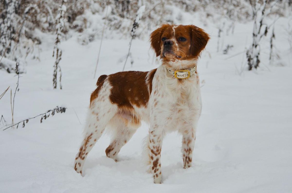 NAVARRO Alessandro&Nicola
