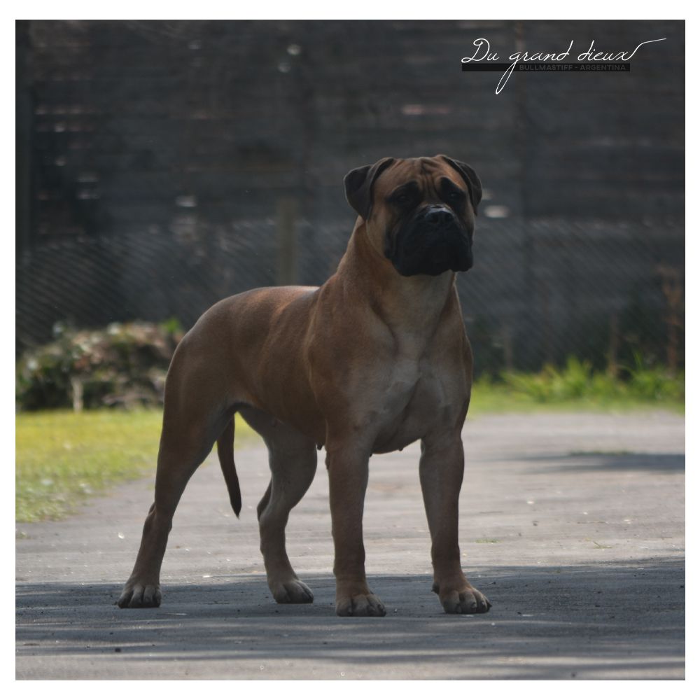 DU GRAND´S DIEUX HENNESY