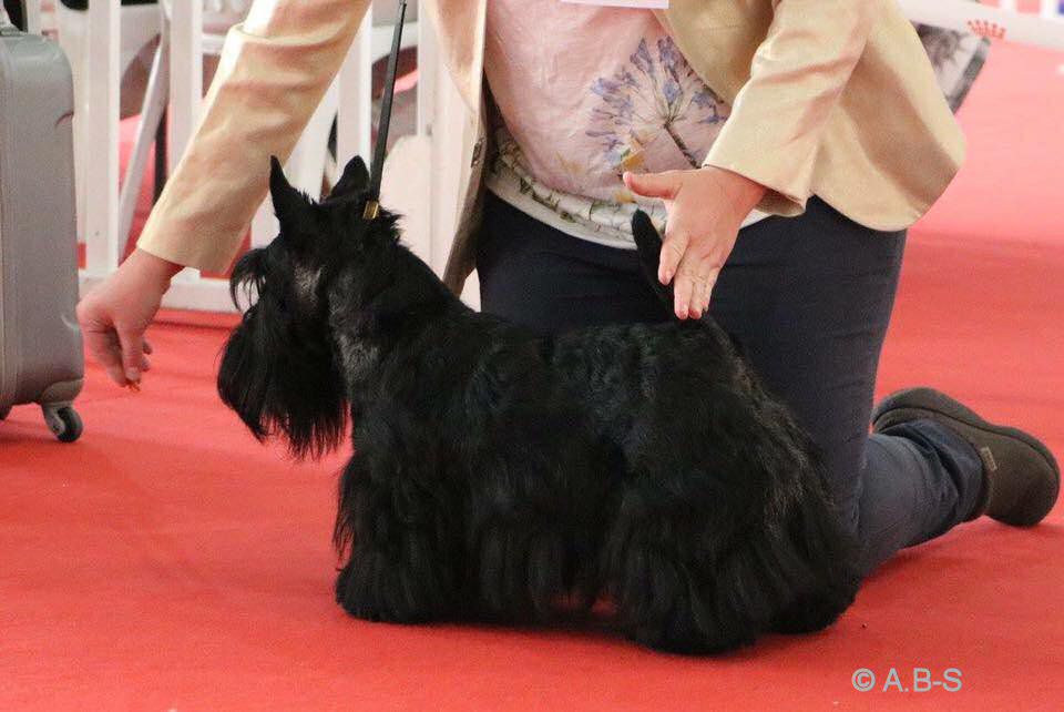 Sinequanone Louboutin