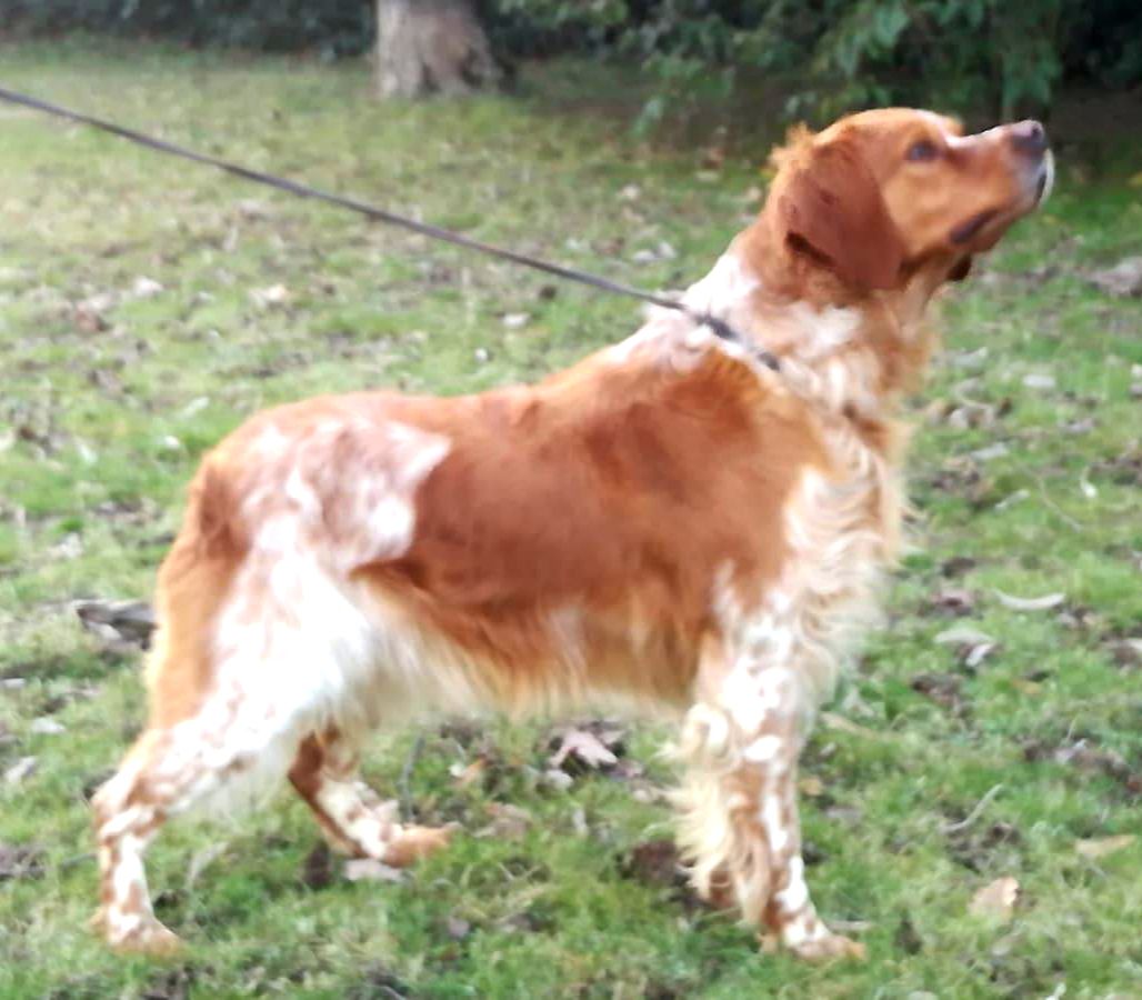 NORA 2016