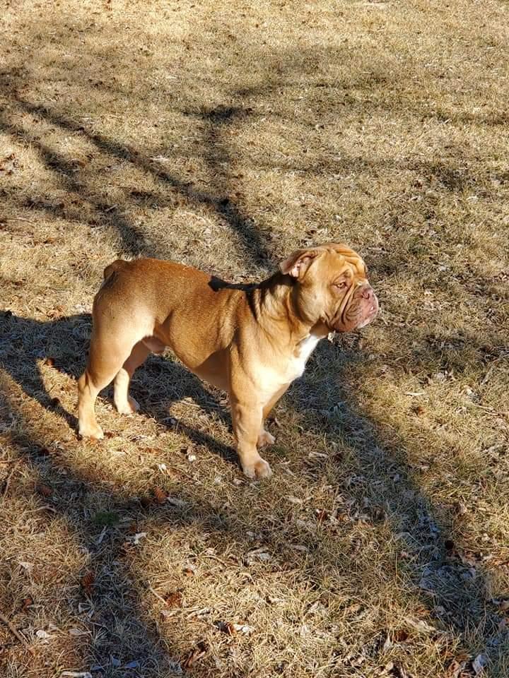 Shoreline's Bodi