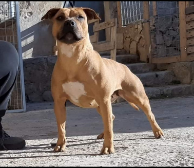 EROS BLACK CRIMINAL