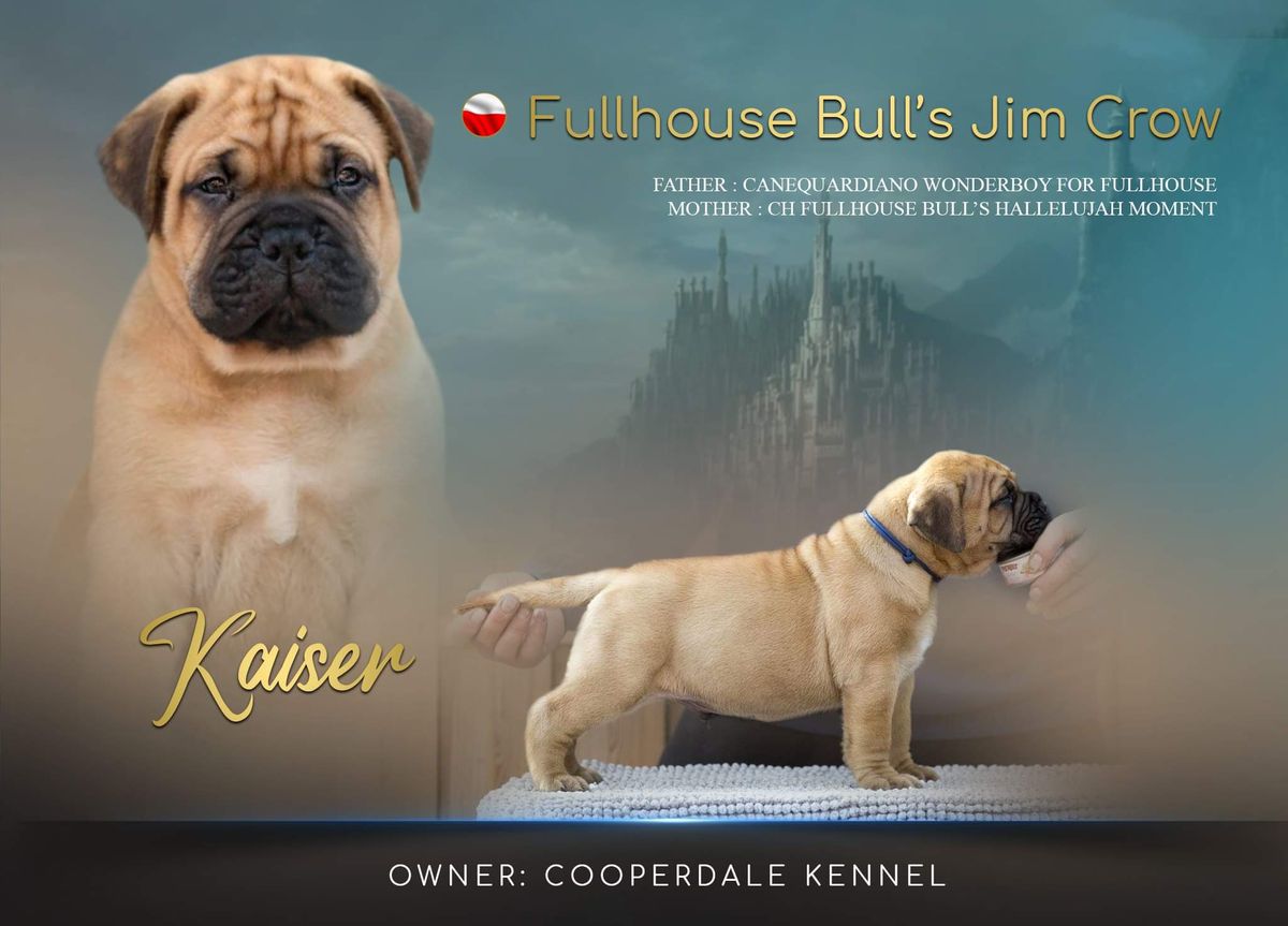 Fullhouse Bulls Jim Crow for Cooperdale