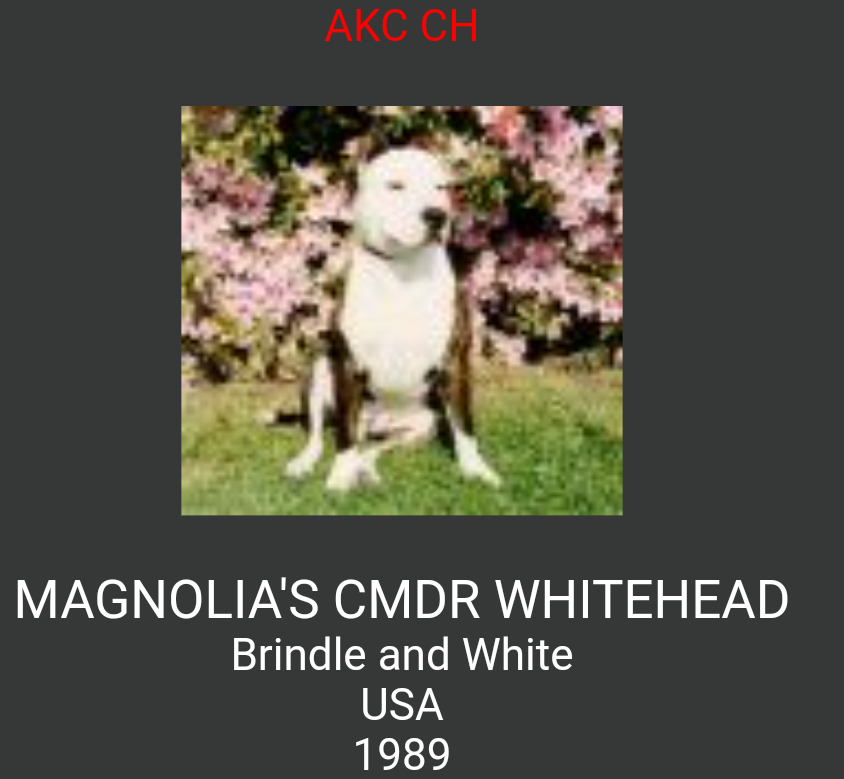 Magnolia's CMDR WhiteHead