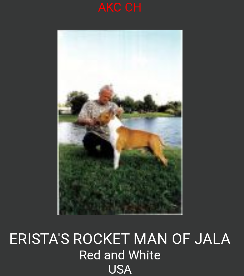 Eristas Rocket Brandy O'fraja