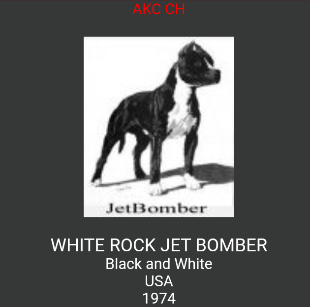 White Rock Jet Bomber