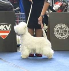 Corida Blanca Rokoko