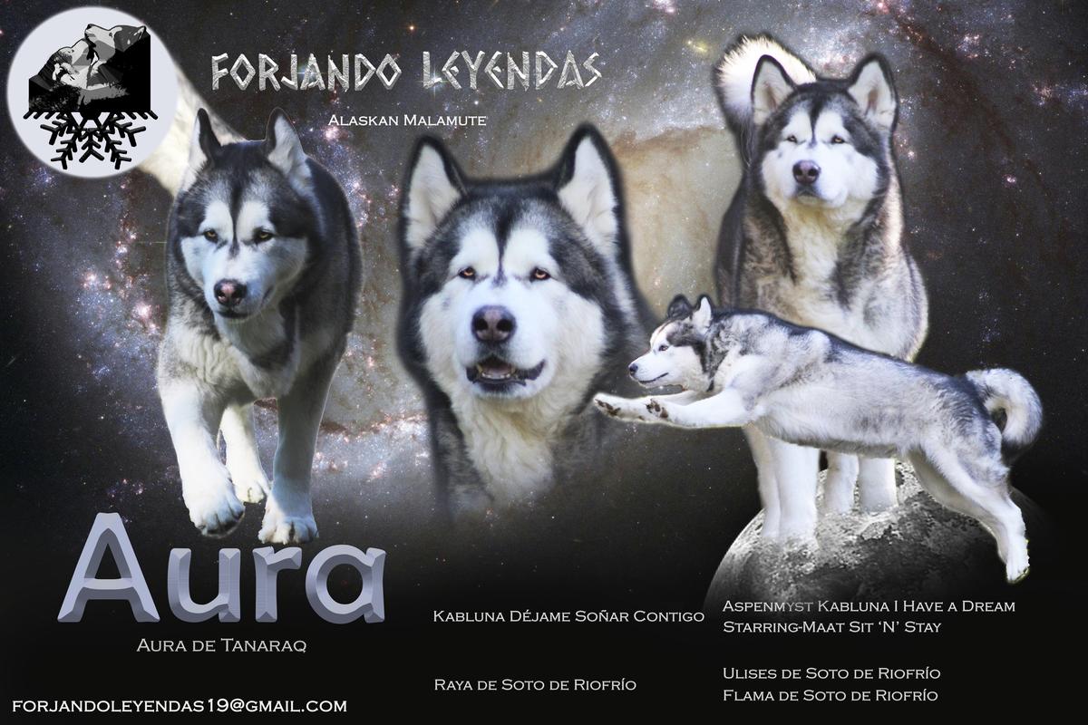 Aura de Tanaraq