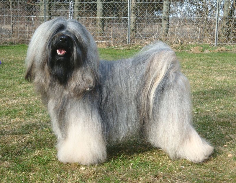 ZELANDONIS LHUNDUP WANGTHANG