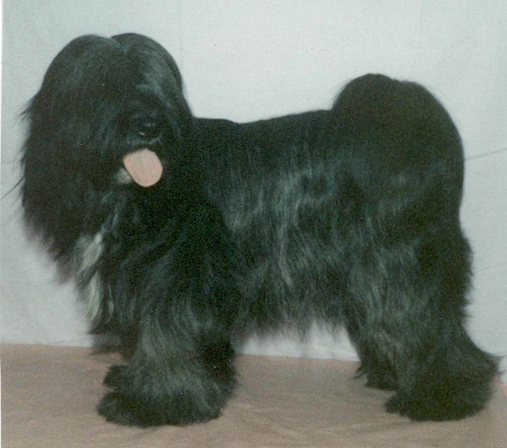 TARAGIRI NYIMA