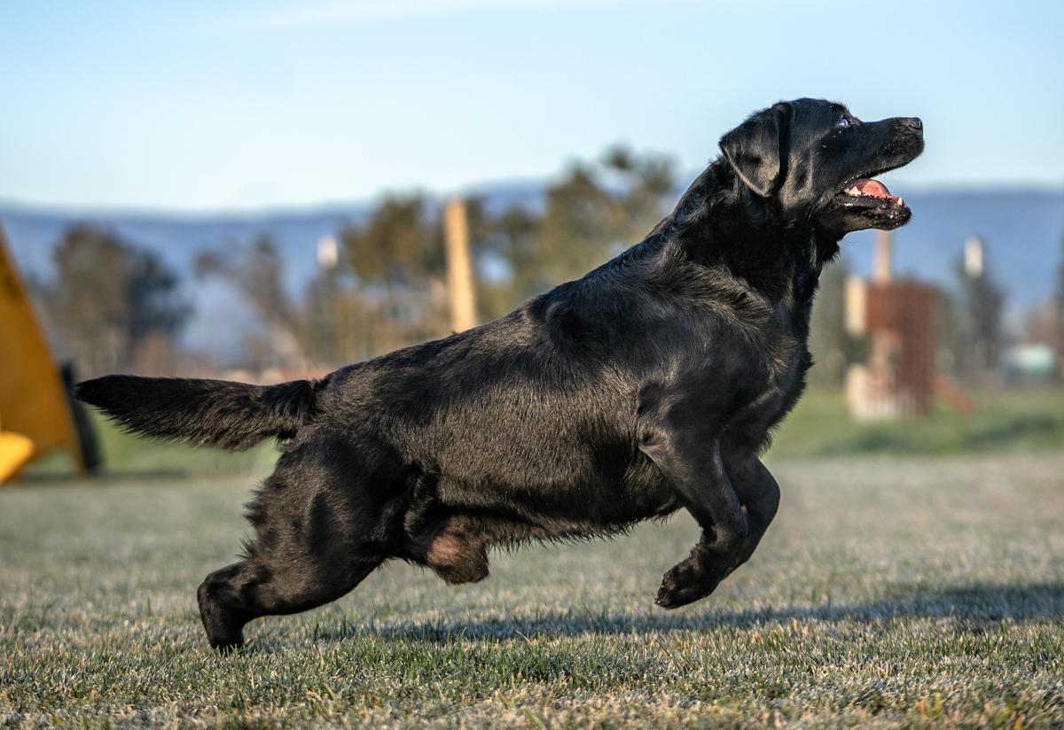 Loretta - Sky High Hope At Rimrock