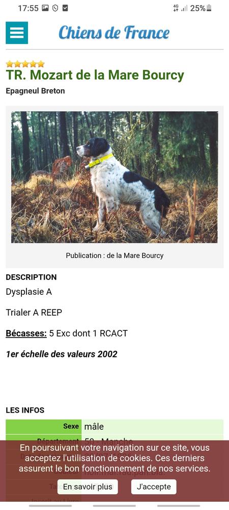 MOZART de la Maree Bourcy