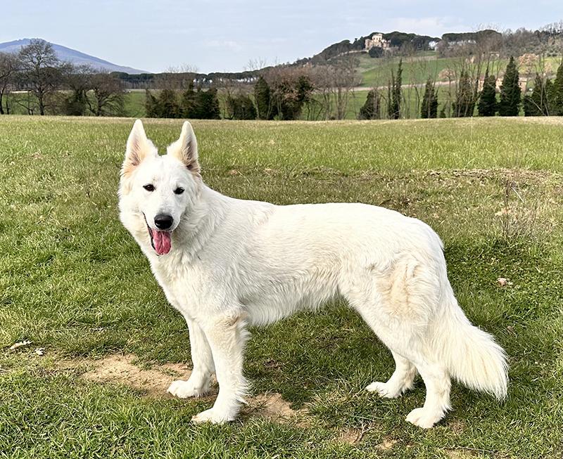 Lungoresina Khalo Frida
