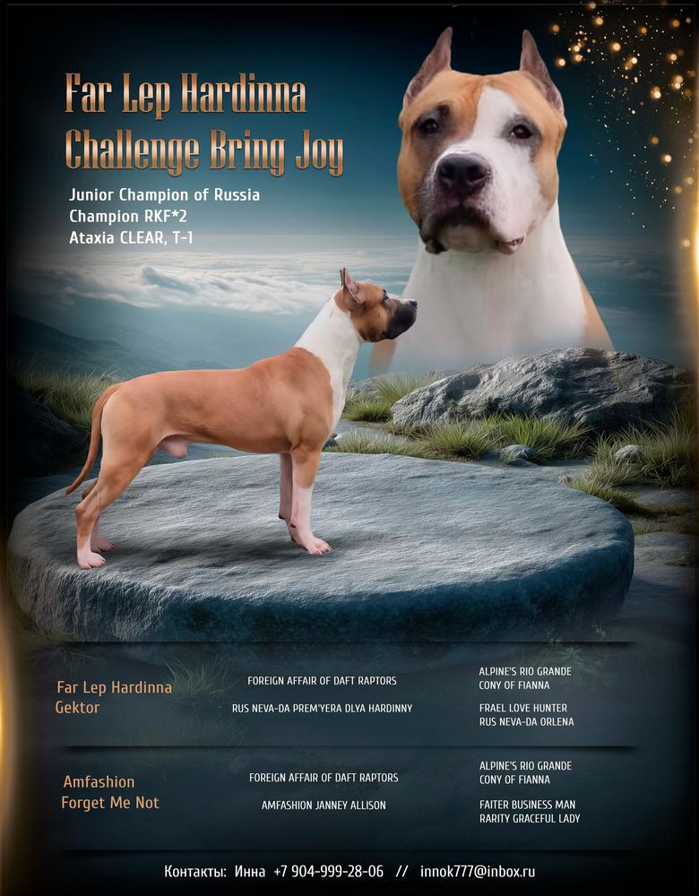 Far Lеp Hardinna Challenge Bring Joy