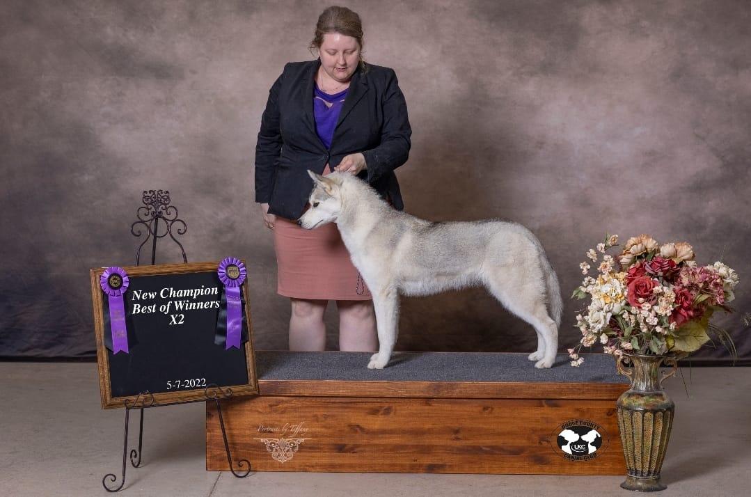 Tricia's Goddess Of The Hunt