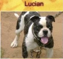 MGK’s Lucian